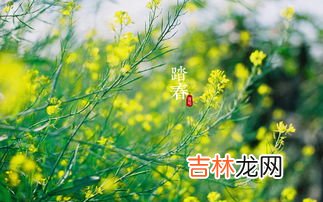 清明节是几月几日,每年的清明节是几月几日