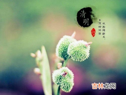 清明节是几月几日,每年的清明节是几月几日