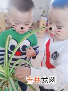 蜗牛为什么不用避雨,下雨天蜗牛怎么避雨看图写话