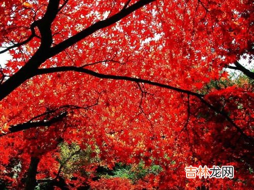 以红叶著名的香山位于哪座城市,‘香山’在哪,有没有什么历史