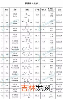 氨基酸是21种还是20种,人体里有20种氨基酸对吗?