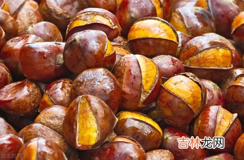 煮栗子需要多长时间,板栗煮多长时间可以熟