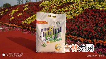 肥皂粉和洗衣粉的区别,皂粉与洗衣粉的区别