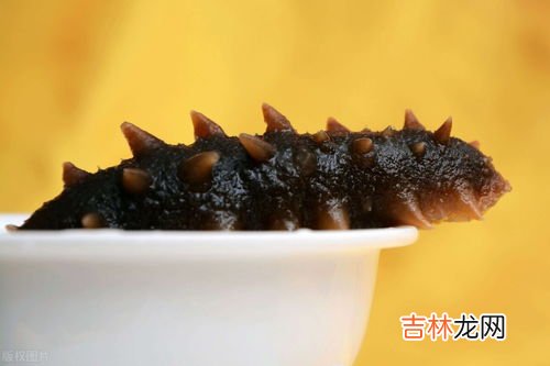 海参是补什么的,吃海参补什么