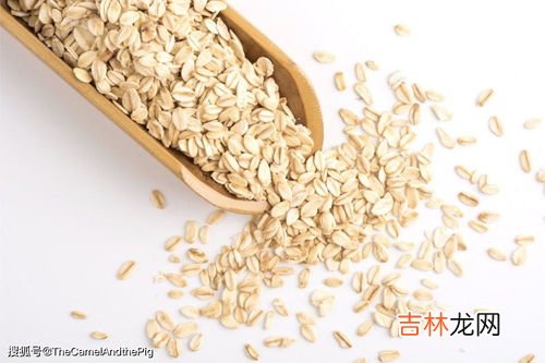 菊粉益生元功效与作用,每个人都适合喝菊粉吗