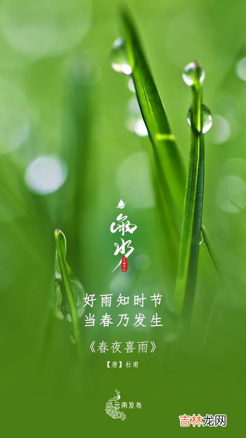 雨水属于哪一个季节的节气,雨水什么季节的节气 春天的第二个节气