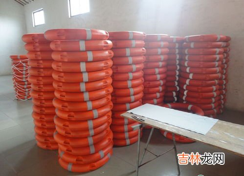 泡沫游泳圈品牌排行榜,儿童游泳圈什么牌子好?