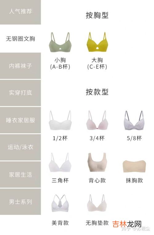 内衣袋怎么使用,关于文胸的常识,何谓水袋、抹胸、无痕、插片及调整