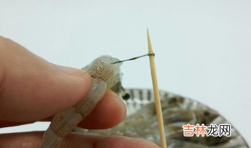虾黄和屎的区别,龙虾头上那点黄是屎还是虾黄