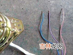 洗衣机甩干桶不转是什么原因,洗衣机甩干桶不转