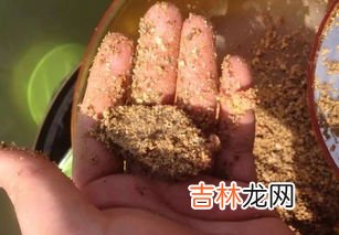 麸炒白术的功效与禁忌,炒白术的功效与作用及禁忌