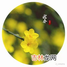 迎春花是什么颜色,迎春花是什么颜色的