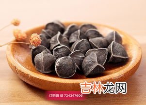 辣木蛋白质粉怎么吃,辣木粉的作用与吃法？