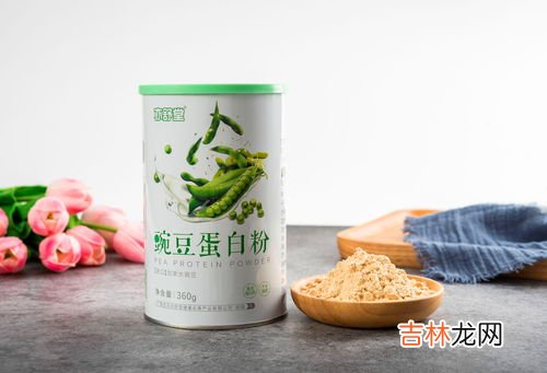 辣木蛋白质粉怎么吃,辣木粉的作用与吃法？