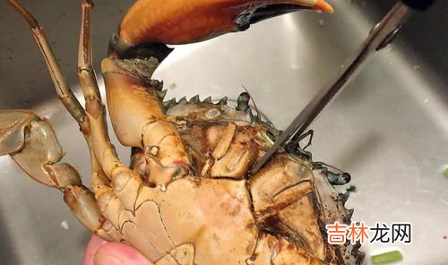 螃蟹不能和什么一起吃,螃蟹不能和什么一起吃