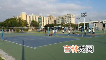 排球场地标准尺寸,标准排球场的尺寸是多少