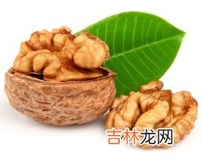 核桃仁的功效与作用,核桃仁有什么功效与作用及食用方法