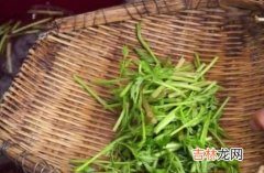 野生水芹菜可以吃吗,野芹菜能吃吗，是否有毒？