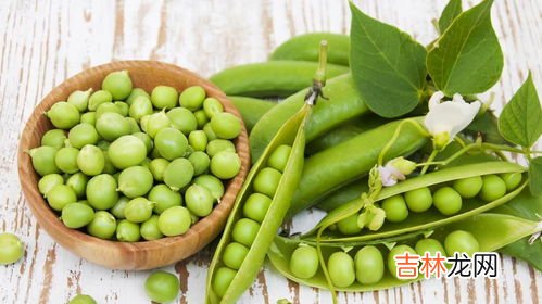 新鲜豌豆能发芽吗,豌豆发芽了还能吃吗新鲜豌豆