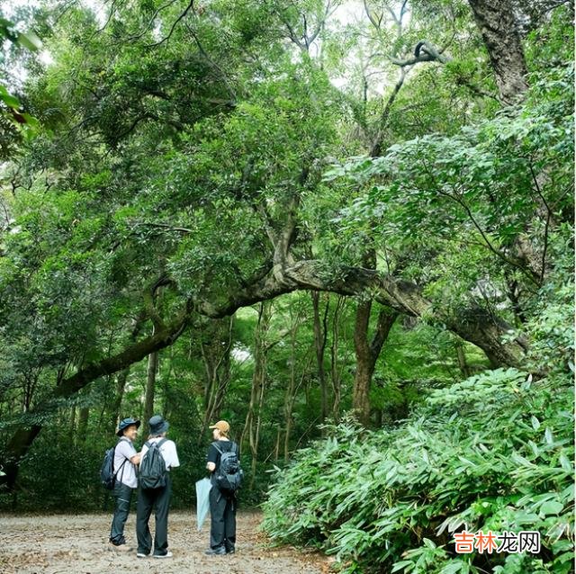减脂 人到中年“身”不由己，这9点管理身材，避免“发福”，瘦身减脂
