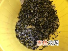 绿豆和黑米能在一起熬粥吗,绿豆和黑米能一起煮吗 绿豆黑米粥怎么煮