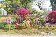 莲花山花展在莲花山哪个位置,莲花山公园毓秀园在哪个门