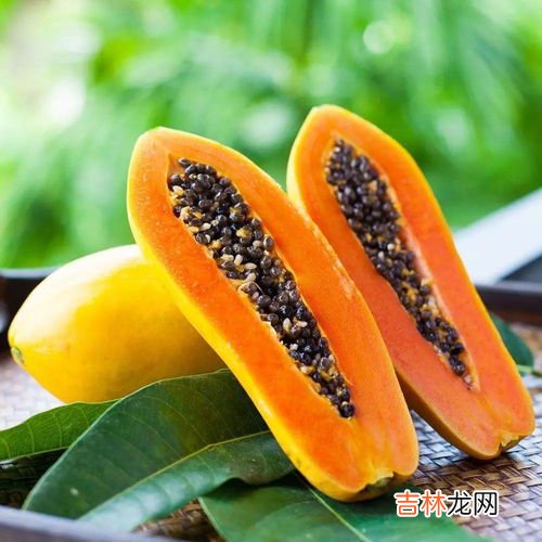 木瓜不能和什么一起吃,木瓜不能和什么一起吃