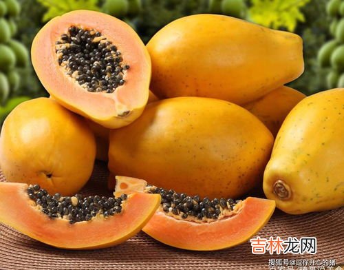 木瓜不能和什么一起吃,木瓜不能和什么一起吃