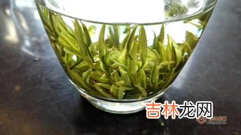 白金茶属于什么茶,白金茶有什么功效