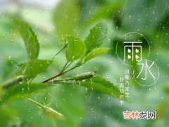 雨水节气有什么特点和美食,雨水节气的特点简介