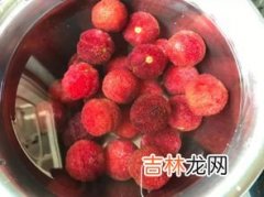 杨梅与枸杞能在一起泡酒吗,杨梅和枸杞子能一起泡酒吗？