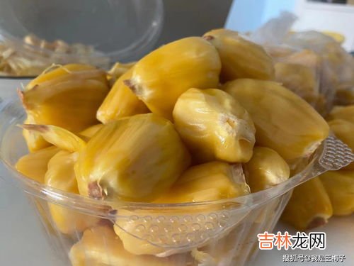 菠萝蜜一次可以吃几颗,菠萝蜜一次可以吃几颗？