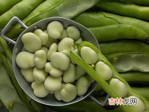 蚕豆放冰箱发芽能吃吗,发芽的蚕豆能吃吗