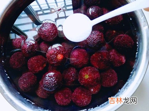 杨梅可以用小苏打洗吗,杨梅怎么洗干净才能吃 杨梅怎么洗才能洗干净