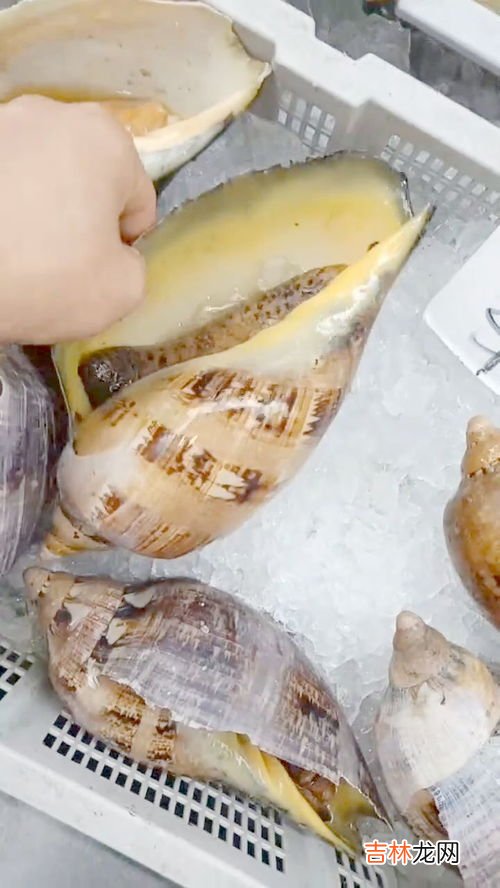 白凉粉在超市叫什么,白凉粉一般在超市哪里买