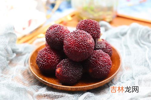 怎样清洗杨梅里的虫子,成熟的杨梅容易长虫,该如何进行防治?