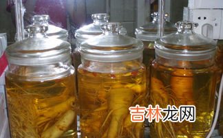 人参泡酒的功效,人参泡酒对身体有什么好处？