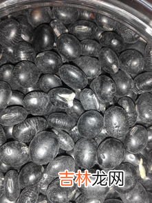 紫菜发霉洗干净还可以吃吗,发霉的紫菜还能吃吗 紫菜发霉了怎么处理