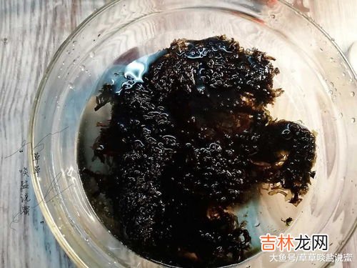 紫菜发霉洗干净还可以吃吗,发霉的紫菜还能吃吗 紫菜发霉了怎么处理
