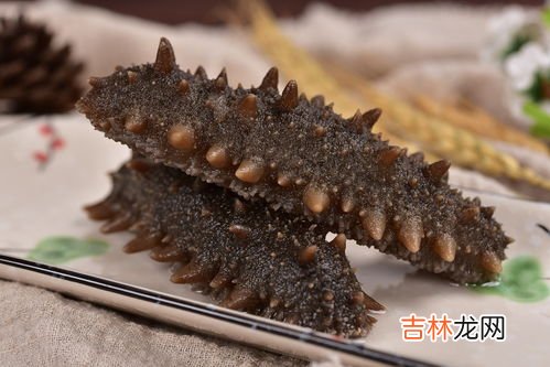 哪些人不适合吃海参,哪些人不宜吃海参