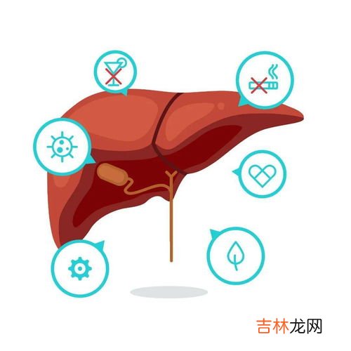 肝功能损害的症状表现是什么,人的肝脏不好的时候身体会有什么表现？