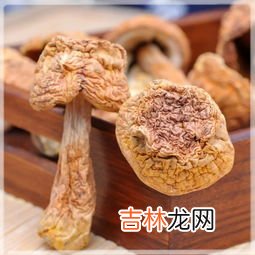 姬松茸哪些人不能吃,松茸三类人不能吃