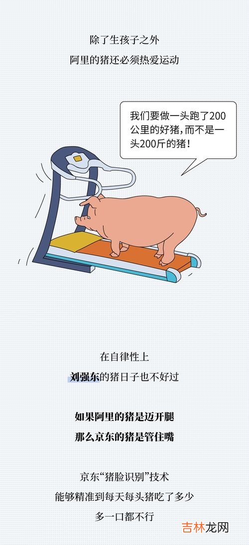 为什么都说养猪不如养上海人,今年的猪肉价很贵,为什么养猪人却反而越来越少?