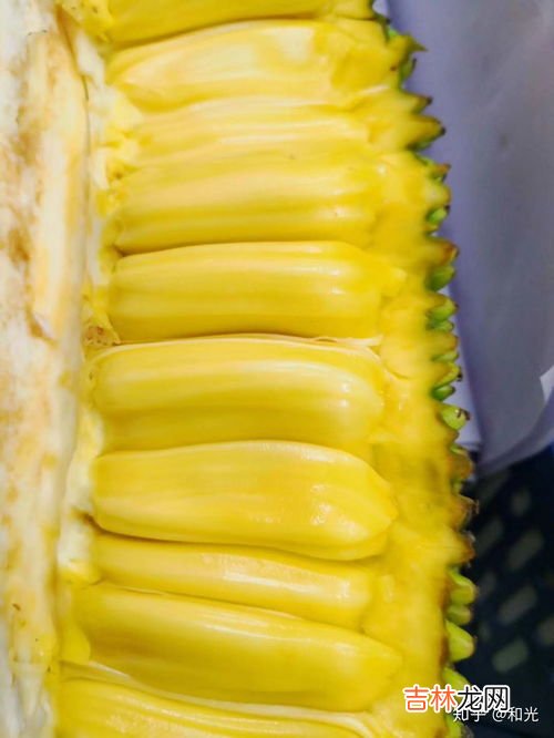 菠萝蜜按着多软才算熟,菠萝蜜怎样才算熟