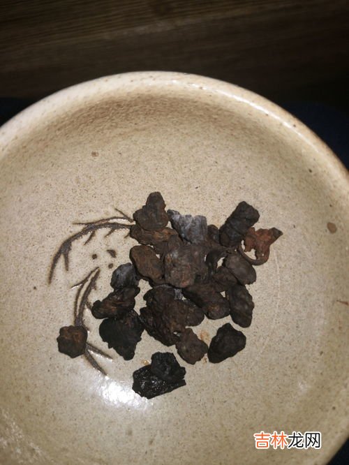 茶化石属于什么茶,茶化石属于什么茶