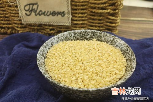 粳米和大米的区别,粳米和大米有什么区别?
