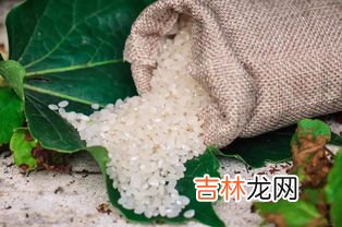 粳米和大米的区别,粳米和大米有什么区别？