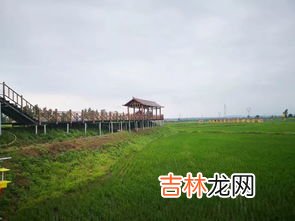 舒兰市属于哪个市,吉林省舒兰市属于哪个城市