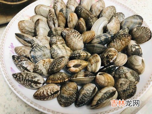冷冻过的花甲怎么处理,冰冻的花甲的怎么让它吐干净沙子