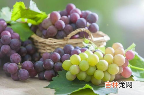 葡萄不能和什么食物一起吃,葡萄和什么不能一起吃